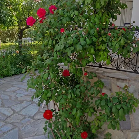 Seretirooms Gæstehus 3*