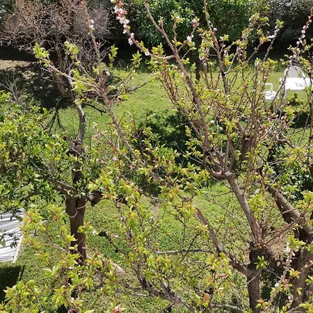 Seretirooms Πανσιόν Νέα Αγχίαλος